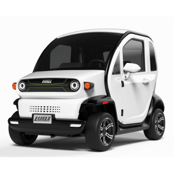 New Energy Small Luxury Four-Wheel Electric Car Family Family